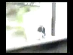 Dos chicas se lamen los pies sexys en el sofá