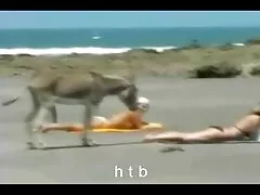 Sensual cutie con grandes tetas y culo redondo cabalga una enorme polla