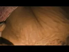 Lucha libre termina para chica curvilínea con sexo en el ring